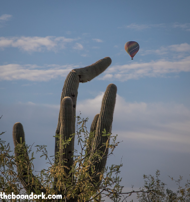 Saguaro cactus And hot air balloon