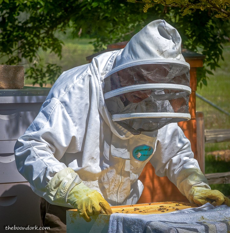 Beekeeper in Denver