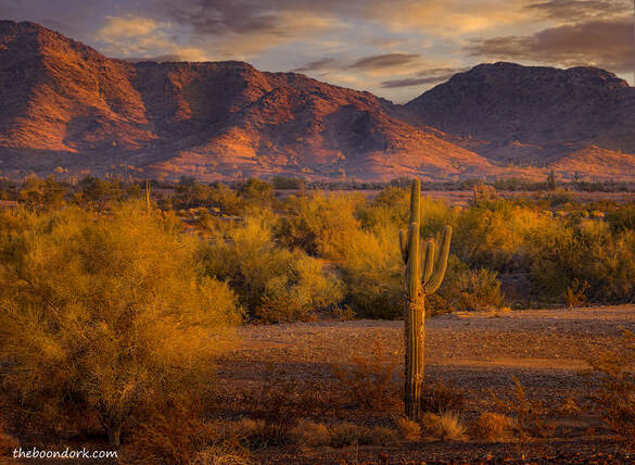 Quartzsite Arizona desert Picture