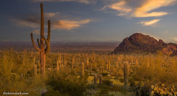 Arizona sunrise Picture