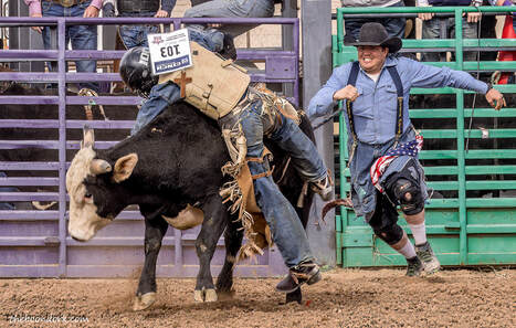 I school rodeo Picture