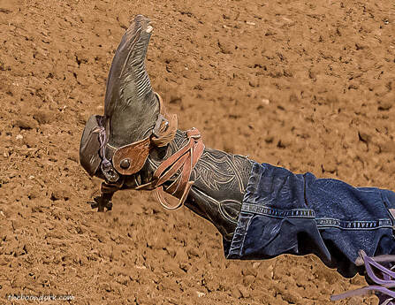 Bull riders boot Picture