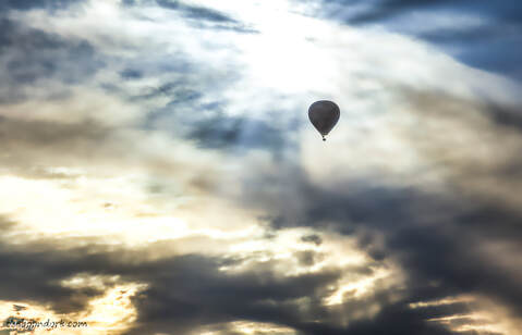 hot air balloon Phoenix Arizona Picture